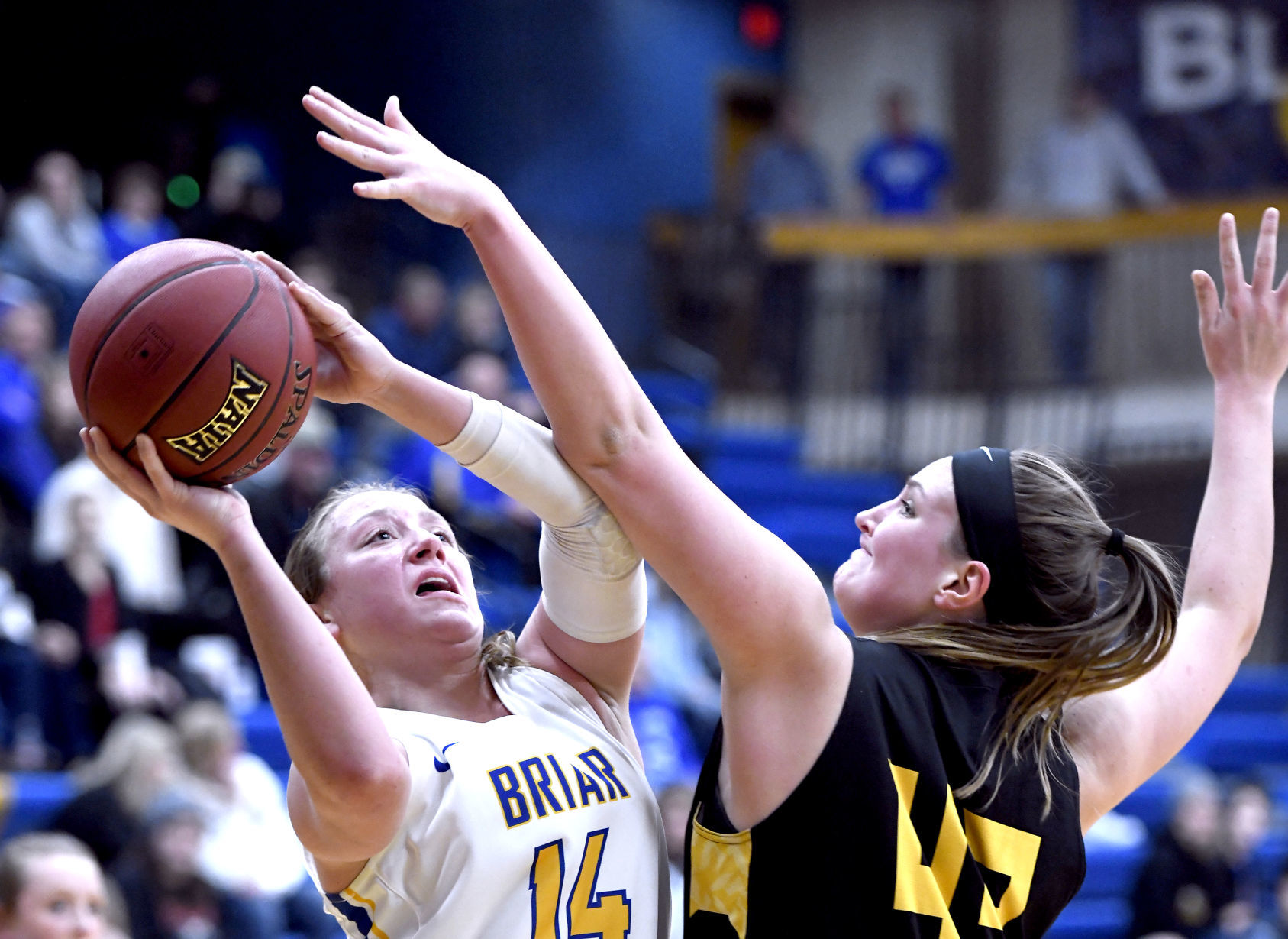 Briar Cliff hosts Dordt
